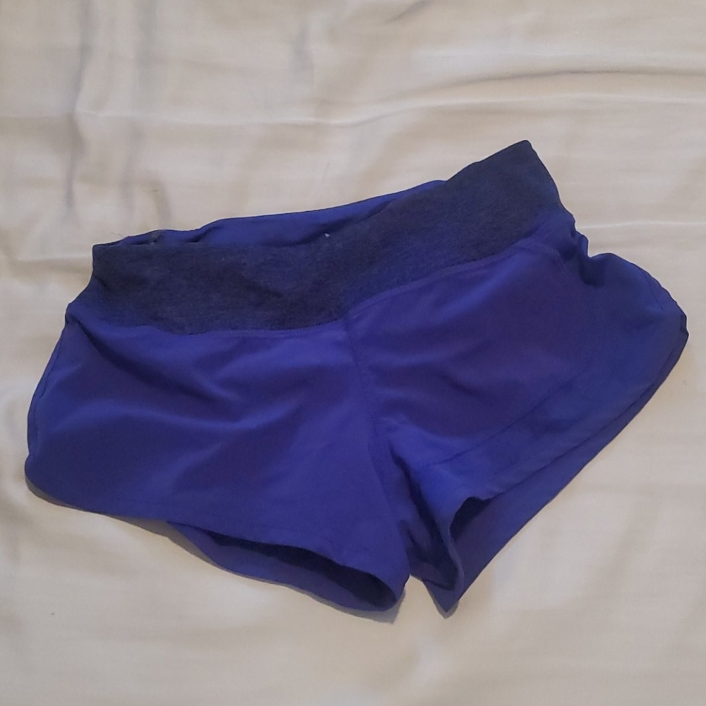 Rabbit Catch Me if You Can Shorts